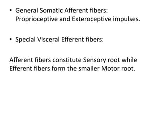 • General Somatic Afferent fibers:
Proprioceptive and Exteroceptive impulses.
• Special Visceral Efferent fibers:
Afferent fibers constitute Sensory root while
Efferent fibers form the smaller Motor root.
 