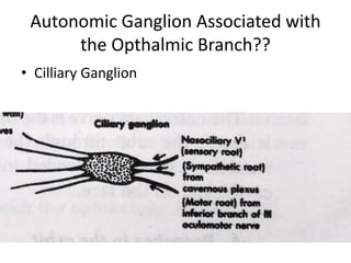 Autonomic Ganglion Associated with
the Opthalmic Branch??
• Cilliary Ganglion
 