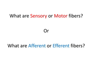 What are Sensory or Motor fibers?
Or
What are Afferent or Efferent fibers?
 