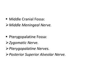  Middle Cranial Fossa:
Middle Meningeal Nerve.
 Pterygopalatine Fossa:
Zygomatic Nerve.
Pterygopalatine Nerves.
Posterior Superior Alveolar Nerve.
 