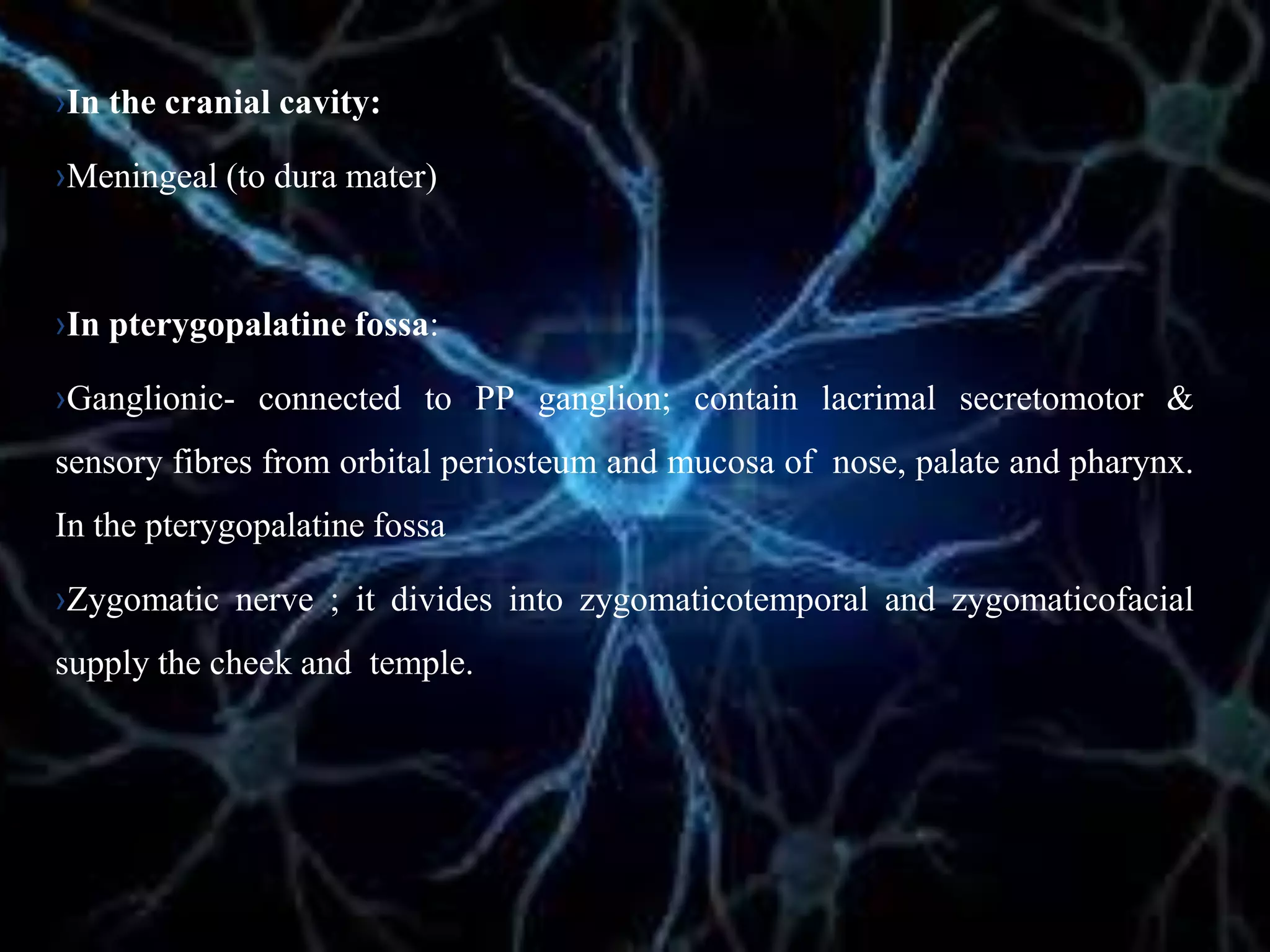 ›In the cranial cavity:
›Meningeal (to dura mater)
›In pterygopalatine fossa:
›Ganglionic- connected to PP ganglion; contain lacrimal secretomotor &
sensory fibres from orbital periosteum and mucosa of nose, palate and pharynx.
In the pterygopalatine fossa
›Zygomatic nerve ; it divides into zygomaticotemporal and zygomaticofacial
supply the cheek and temple.
 