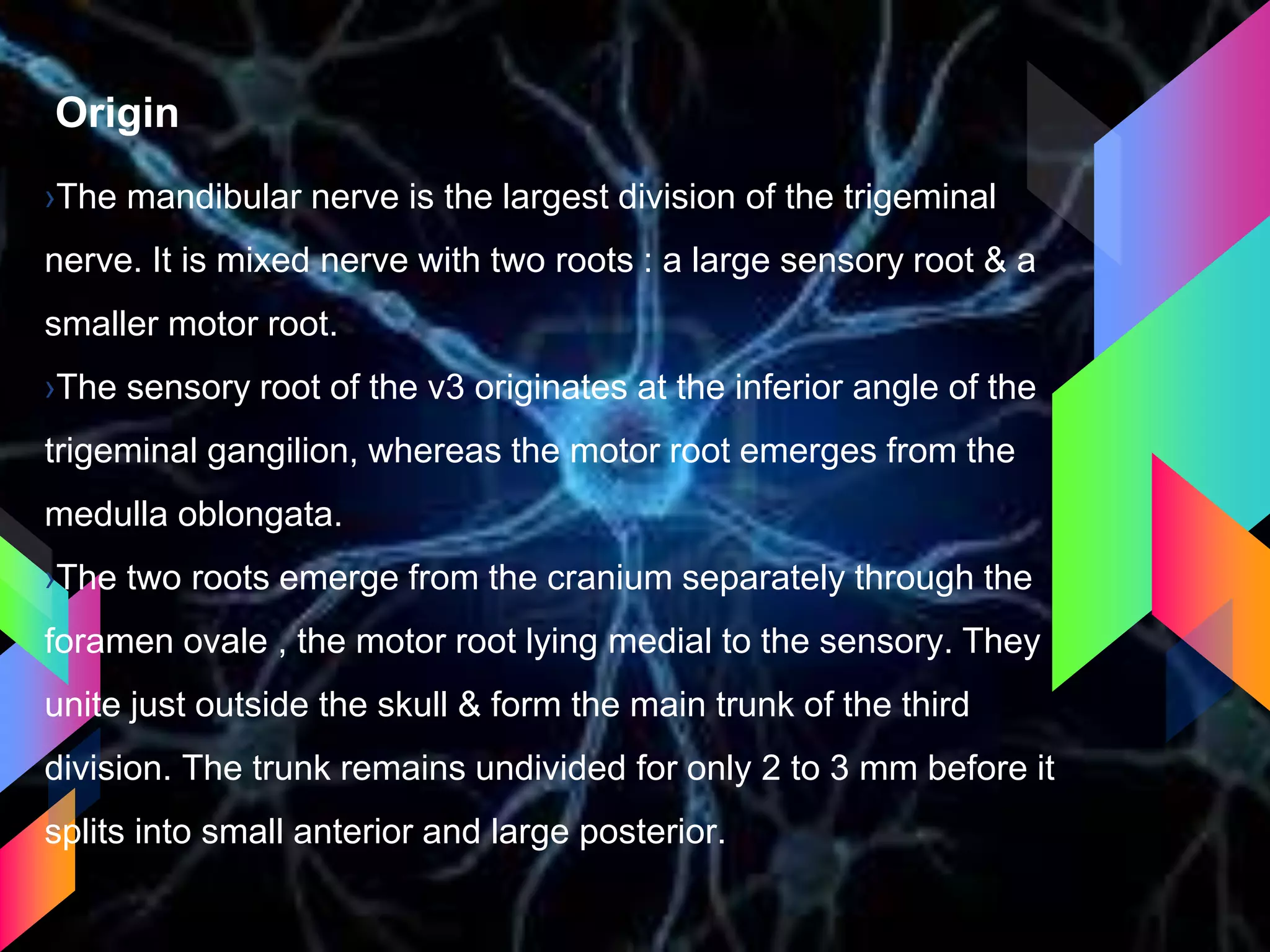 Origin
›The mandibular nerve is the largest division of the trigeminal
nerve. It is mixed nerve with two roots : a large sensory root & a
smaller motor root.
›The sensory root of the v3 originates at the inferior angle of the
trigeminal gangilion, whereas the motor root emerges from the
medulla oblongata.
›The two roots emerge from the cranium separately through the
foramen ovale , the motor root lying medial to the sensory. They
unite just outside the skull & form the main trunk of the third
division. The trunk remains undivided for only 2 to 3 mm before it
splits into small anterior and large posterior.
 