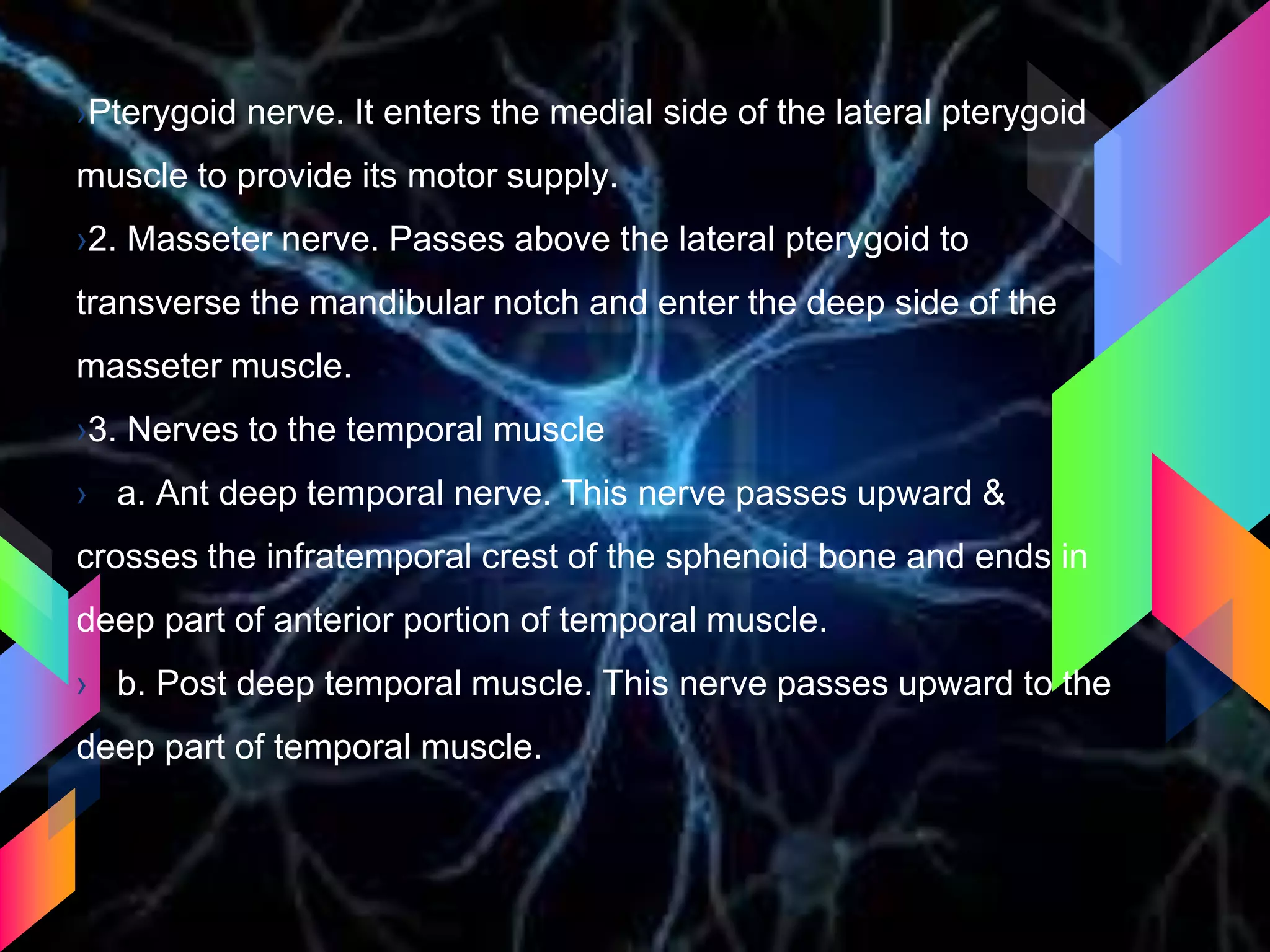 ›Pterygoid nerve. It enters the medial side of the lateral pterygoid
muscle to provide its motor supply.
›2. Masseter nerve. Passes above the lateral pterygoid to
transverse the mandibular notch and enter the deep side of the
masseter muscle.
›3. Nerves to the temporal muscle
› a. Ant deep temporal nerve. This nerve passes upward &
crosses the infratemporal crest of the sphenoid bone and ends in
deep part of anterior portion of temporal muscle.
› b. Post deep temporal muscle. This nerve passes upward to the
deep part of temporal muscle.
 