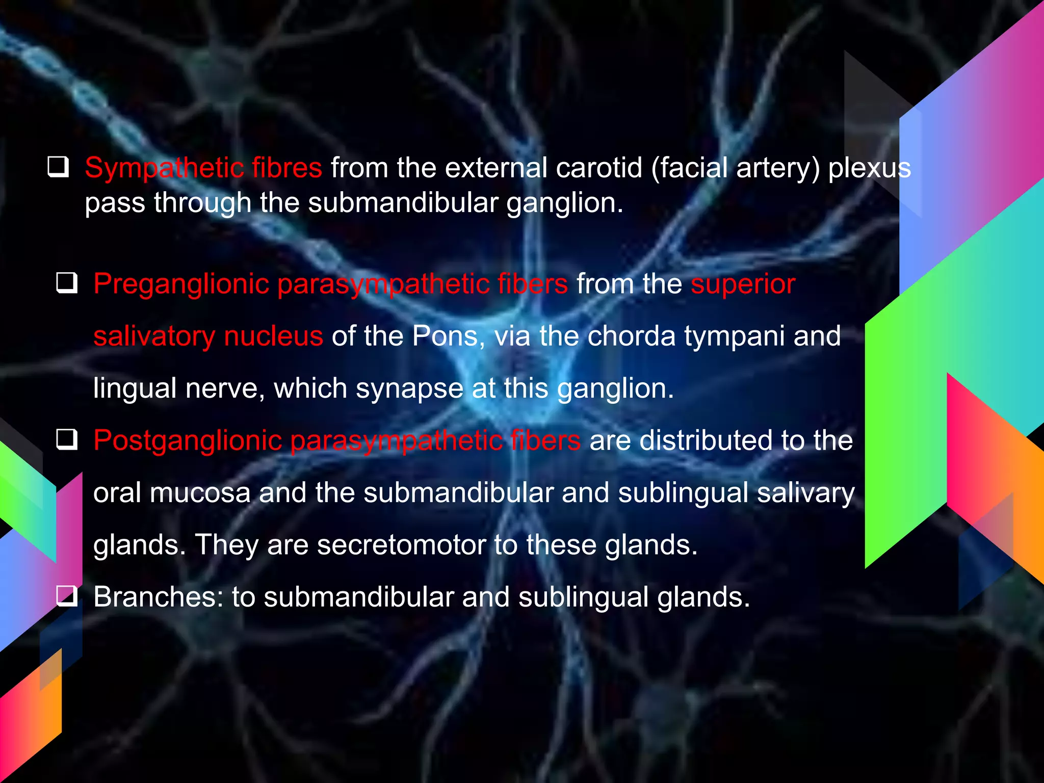  Sympathetic fibres from the external carotid (facial artery) plexus
pass through the submandibular ganglion.
 Preganglionic parasympathetic fibers from the superior
salivatory nucleus of the Pons, via the chorda tympani and
lingual nerve, which synapse at this ganglion.
 Postganglionic parasympathetic fibers are distributed to the
oral mucosa and the submandibular and sublingual salivary
glands. They are secretomotor to these glands.
 Branches: to submandibular and sublingual glands.
 