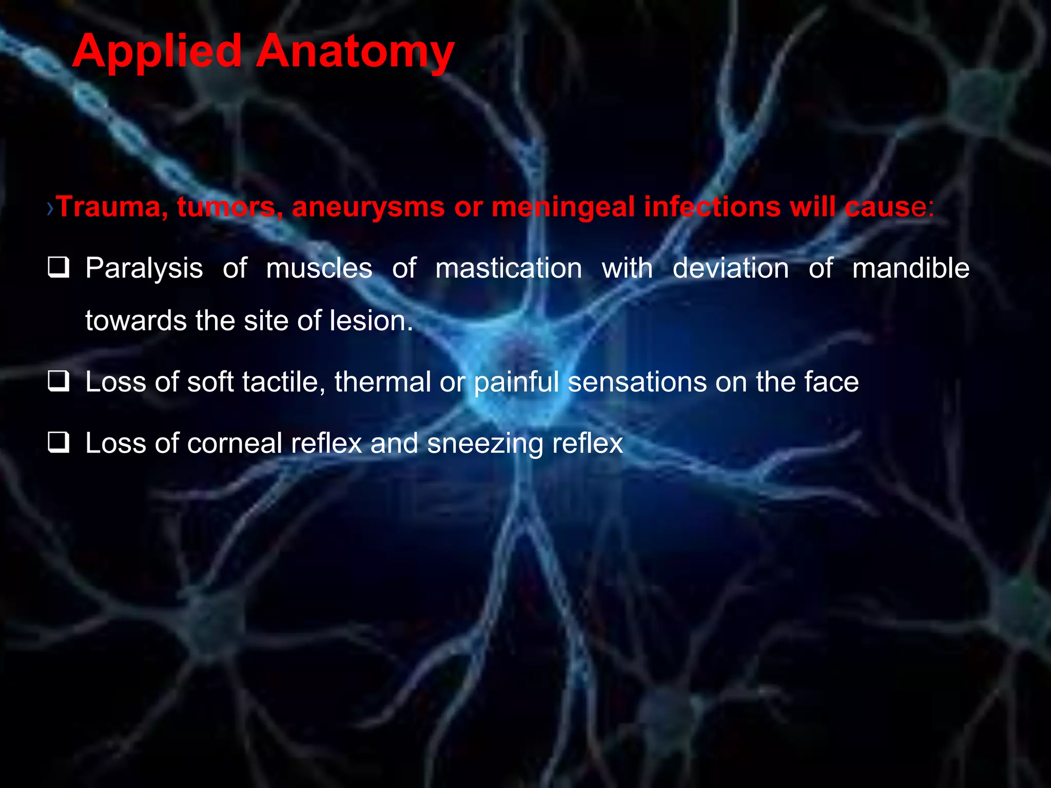 Applied Anatomy
›Trauma, tumors, aneurysms or meningeal infections will cause:
 Paralysis of muscles of mastication with deviation of mandible
towards the site of lesion.
 Loss of soft tactile, thermal or painful sensations on the face
 Loss of corneal reflex and sneezing reflex
 