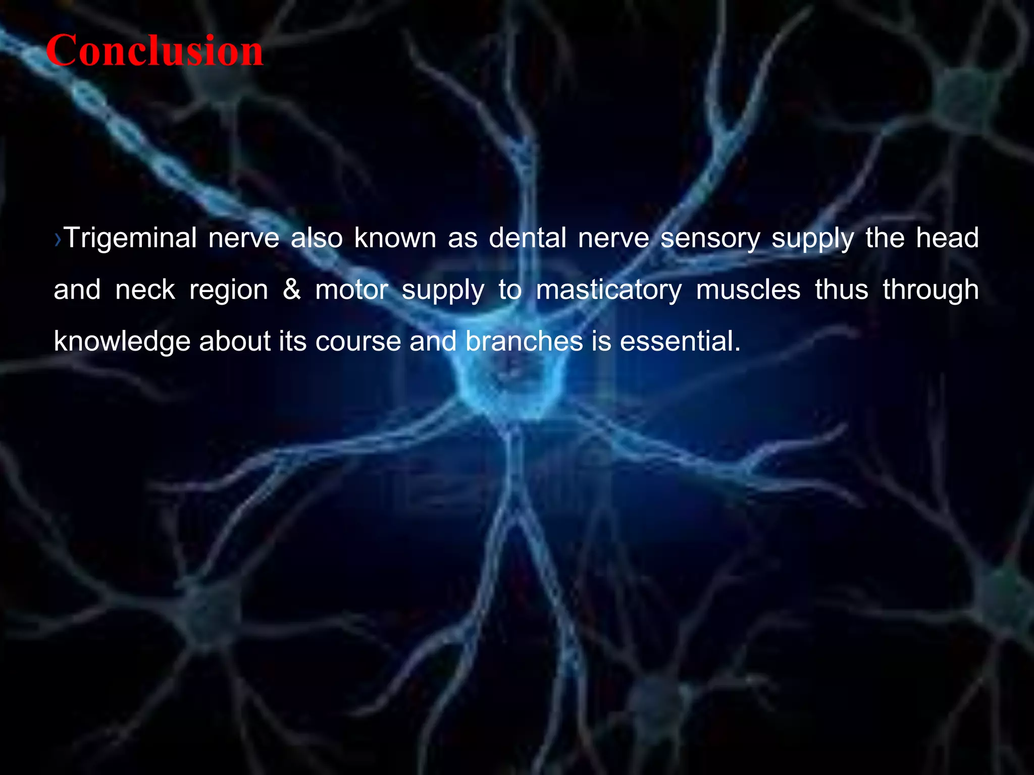 Conclusion
›Trigeminal nerve also known as dental nerve sensory supply the head
and neck region & motor supply to masticatory muscles thus through
knowledge about its course and branches is essential.
 