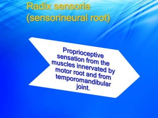 Sensorial Roots Trigeminal nerve | PPSX