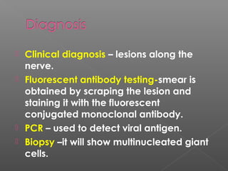  Clinical diagnosis – lesions along the
nerve.
 Fluorescent antibody testing-smear is
obtained by scraping the lesion and
staining it with the fluorescent
conjugated monoclonal antibody.
 PCR – used to detect viral antigen.
 Biopsy –it will show multinucleated giant
cells.
 