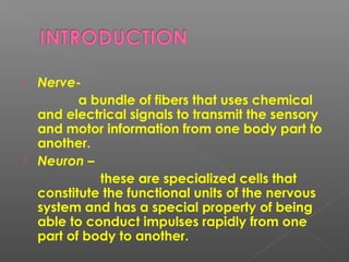  Nerve-
a bundle of fibers that uses chemical
and electrical signals to transmit the sensory
and motor information from one body part to
another.
 Neuron –
these are specialized cells that
constitute the functional units of the nervous
system and has a special property of being
able to conduct impulses rapidly from one
part of body to another.
 