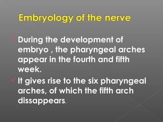  During the development of
embryo , the pharyngeal arches
appear in the fourth and fifth
week.
 It gives rise to the six pharyngeal
arches, of which the fifth arch
dissappears.
 