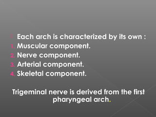  Each arch is characterized by its own :
1. Muscular component.
2. Nerve component.
3. Arterial component.
4. Skeletal component.
Trigeminal nerve is derived from the first
pharyngeal arch.
 