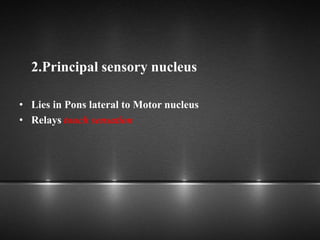 2.Principal sensory nucleus
• Lies in Pons lateral to Motor nucleus
• Relays touch sensation
 