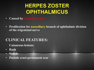 HERPES ZOSTER
OPHTHALMICUS
• Caused by Varicella zoster
• Predilection for nasociliary branch of ophthalmic division
of the trigeminal nerve
CLINICAL FEATURES:
Cutaneous lesions:
• Rash
• Vesicle
• Pustule crust permanent scar
 