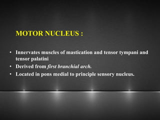 MOTOR NUCLEUS :
• Innervates muscles of mastication and tensor tympani and
tensor palatini
• Derived from first branchial arch.
• Located in pons medial to principle sensory nucleus.
 
