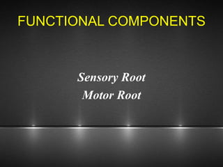 FUNCTIONAL COMPONENTS
Sensory Root
Motor Root
 