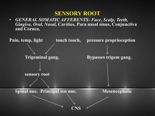 SENSORY ROOT
• GENERAL SOMATIC AFFERENTS- Face, Scalp, Teeth,
Gingiva, Oral, Nasal, Cavities, Para nasal sinus, Conjunctiva
and Cornea.
Pain, temp, light touch touch, pressure proprioception
Trigeminal gang. Bypasses trigem gang.
sensory root
Spinal nuc. Principal sen nuc. Mesencephalic
CNS
 