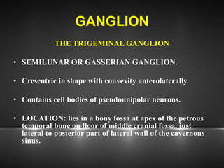 GANGLION
THE TRIGEMINAL GANGLION
• SEMILUNAR OR GASSERIAN GANGLION.
• Cresentric in shape with convexity anterolaterally.
• Contains cell bodies of pseudounipolar neurons.
• LOCATION: lies in a bony fossa at apex of the petrous
temporal bone on floor of middle cranial fossa, just
lateral to posterior part of lateral wall of the cavernous
sinus.
 