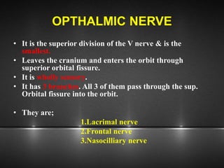 OPTHALMIC NERVE
• It is the superior division of the V nerve & is the
smallest.
• Leaves the cranium and enters the orbit through
superior orbital fissure.
• It is wholly sensory.
• It has 3 branches. All 3 of them pass through the sup.
Orbital fissure into the orbit.
• They are;
1.Lacrimal nerve
2.Frontal nerve
3.Nasocilliary nerve
 