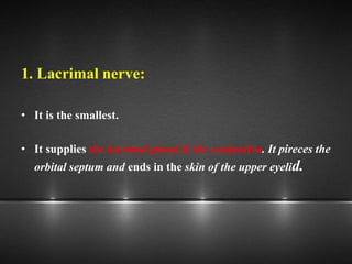 1. Lacrimal nerve:
• It is the smallest.
• It supplies the lacrimal gland & the conjuntiva. It pireces the
orbital septum and ends in the skin of the upper eyelid.
 
