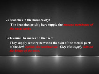 2) Branches in the nasal cavity:
The branches arising here supply the mucous membrane of
the nasal cavity.
3) Terminal branches on the face:
They supply sensory nerves to the skin of the medial parts
of the both eyelids, the lacrimal sac. They also supply skin on
the bridge of the nose.
 