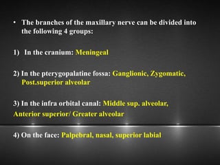 • The branches of the maxillary nerve can be divided into
the following 4 groups:
1) In the cranium: Meningeal
2) In the pterygopalatine fossa: Ganglionic, Zygomatic,
Post.superior alveolar
3) In the infra orbital canal: Middle sup. alveolar,
Anterior superior/ Greater alveolar
4) On the face: Palpebral, nasal, superior labial
 