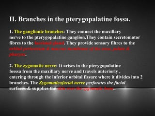 II. Branches in the pterygopalatine fossa.
1. The ganglionic branches: They connect the maxillary
nerve to the pterygopalatine ganglion.They contain secretomotor
fibres to the lacrimal gland. They provide sensory fibres to the
orbital periosteum & mucous membrane of the nose, palate &
pharynx.
2. The zygomatic nerve: It arises in the pterygopalatine
fosssa from the maxillary nerve and travels anteriorly ,
entering through the inferior orbital fissure where it divides into 2
branches. The Zygomaticofacial nerve perforates the facial
surfaces & supplies the skin over the zygomatic bone..
 