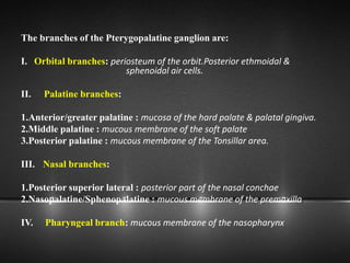 The branches of the Pterygopalatine ganglion are:
I. Orbital branches: periosteum of the orbit.Posterior ethmoidal &
sphenoidal air cells.
II. Palatine branches:
1.Anterior/greater palatine : mucosa of the hard palate & palatal gingiva.
2.Middle palatine : mucous membrane of the soft palate
3.Posterior palatine : mucous membrane of the Tonsillar area.
III. Nasal branches:
1.Posterior superior lateral : posterior part of the nasal conchae
2.Nasopalatine/Sphenopalatine : mucous membrane of the premaxilla.
IV. Pharyngeal branch: mucous membrane of the nasopharynx
 