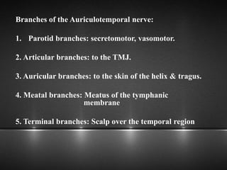 Branches of the Auriculotemporal nerve:
1. Parotid branches: secretomotor, vasomotor.
2. Articular branches: to the TMJ.
3. Auricular branches: to the skin of the helix & tragus.
4. Meatal branches: Meatus of the tymphanic
membrane
5. Terminal branches: Scalp over the temporal region
 