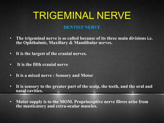 TRIGEMINAL NERVE
DENTIST NERVE
• The trigeminal nerve is so called because of its three main divisions i.e.
the Ophthalmic, Maxillary & Mandibular nerves.
• It is the largest of the cranial nerves.
• It is the fifth cranial nerve
• It is a mixed nerve : Sensory and Motor
• It is sensory to the greater part of the scalp, the teeth, and the oral and
nasal cavities.
• Motor supply is to the MOM. Proprioceptive nerve fibres arise from
the masticatory and extra-ocular muscles.
 