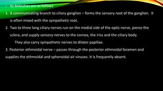 - Its branches are as follows
1. A communicating branch to ciliary ganglion – forms the sensory root of the ganglion. It
is often mixed with the sympathetic root.
2. Two to three long ciliary nerves run on the medial side of the optic nerve, pierce the
sclera, and supply sensory nerves to the cornea, the iriss and the ciliary body.
They also carry sympathetic nerves to dilator papillae.
3. Posterior ethmoidal nerve – passes through the posterior ethmoidal foramen and
supplies the ethmoidal and sphenoidal air sinuses. It is frequently absent.
 