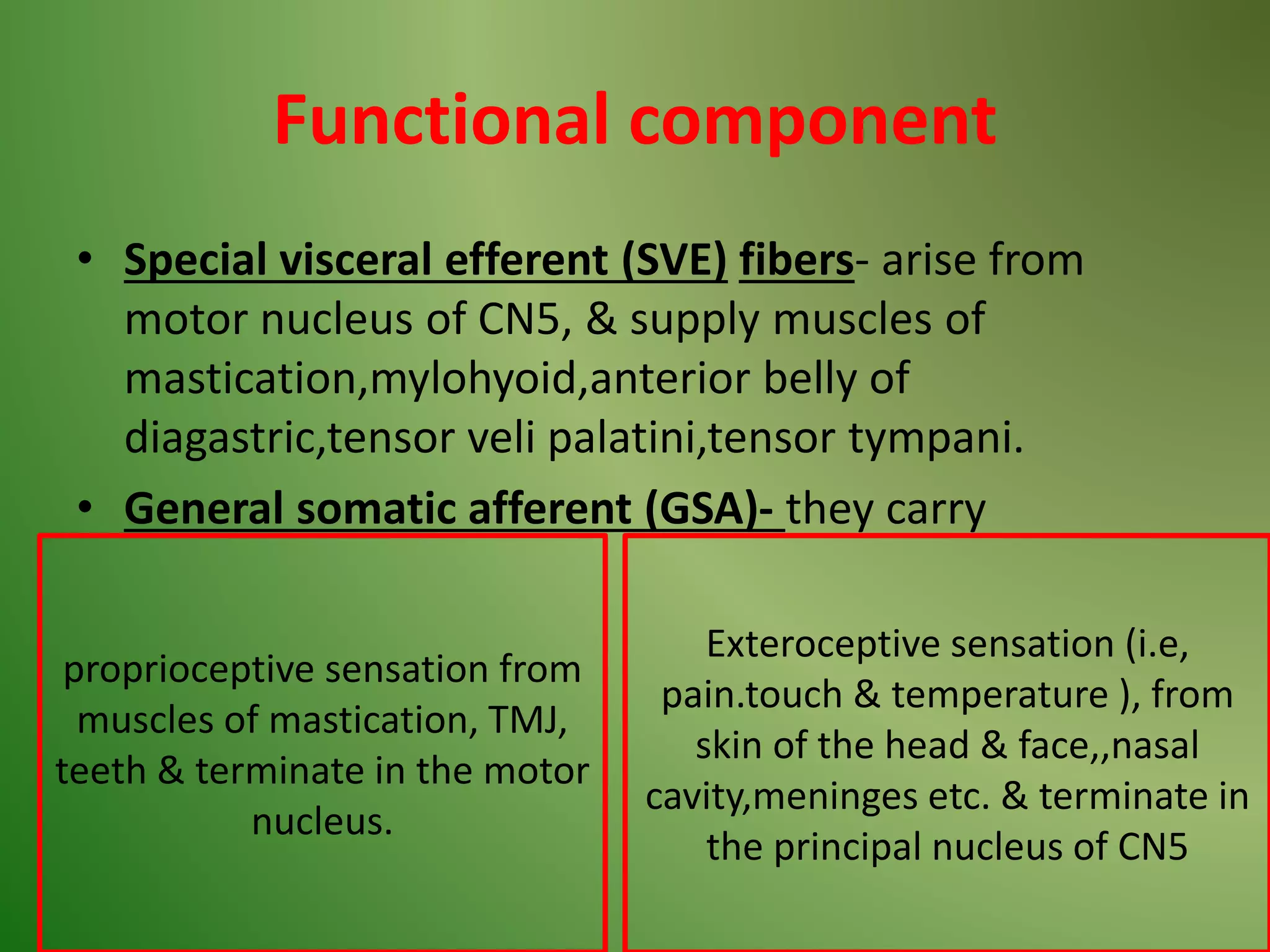 Cn5 Trigeminal nerve | PPTX