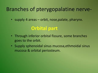 Branches of pterygopalatine nerve-
• supply 4 areas – orbit, nose,palate, pharynx.
• Through inferior orbital fissure, some branches
goes to the orbit.
• Supply sphenoidal sinus mucosa,ethmoidal sinus
mucosa & orbital periosteum.
Orbital part
 