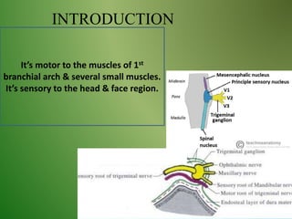 INTRODUCTION
It’s motor to the muscles of 1st
branchial arch & several small muscles.
It’s sensory to the head & face region.
 