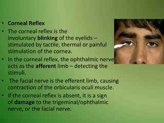 • Corneal Reflex
• The corneal reflex is the
involuntary blinking of the eyelids –
stimulated by tactile, thermal or painful
stimulation of the cornea.
• In the corneal reflex, the ophthalmic nerve
acts as the afferent limb – detecting the
stimuli.
• The facial nerve is the efferent limb, causing
contraction of the orbicularis oculi muscle.
• If the corneal reflex is absent, it is a sign
of damage to the trigeminal/ophthalmic
nerve, or the facial nerve.
 
