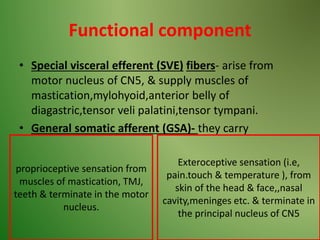 Functional component
• Special visceral efferent (SVE) fibers- arise from
motor nucleus of CN5, & supply muscles of
mastication,mylohyoid,anterior belly of
diagastric,tensor veli palatini,tensor tympani.
• General somatic afferent (GSA)- they carry
proprioceptive sensation from
muscles of mastication, TMJ,
teeth & terminate in the motor
nucleus.
Exteroceptive sensation (i.e,
pain.touch & temperature ), from
skin of the head & face,,nasal
cavity,meninges etc. & terminate in
the principal nucleus of CN5
 