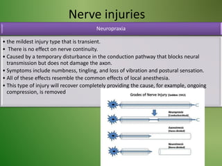 Nerve injuries
Neuropraxia
• the mildest injury type that is transient.
• There is no effect on nerve continuity.
• Caused by a temporary disturbance in the conduction pathway that blocks neural
transmission but does not damage the axon.
• Symptoms include numbness, tingling, and loss of vibration and postural sensation.
• All of these effects resemble the common effects of local anesthesia.
• This type of injury will recover completely providing the cause, for example, ongoing
compression, is removed
 