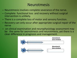 Neurotmesis
– Neurotmesis involves complete severance of the nerve.
– Complete functional loss and recovery without surgical
intervention is unlikely.
– There is a complete loss of motor and sensory function.
– Recovery can only occur after appropriate surgical repair of the
nerve
– on clinical examination and neurophysiology assessment may
be the same for axonotmesis and neurotmesis, yet there is a
clear difference in prognosis and management.
 