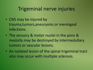Trigeminal nerve injuries
• CN5 may be injured by
trauma,tumors,aneurysms or meningeal
infections.
• The sensory & motor nuclei in the pons &
medulla may be destroyed by intermedullary
tumors or vascular lesions.
• An isolated lesion of the spinal trigeminal tract
also may occur with multiple sclerosis.
 
