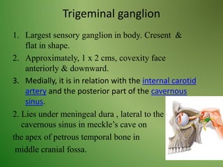 Trigeminal ganglion
1. Largest sensory ganglion in body. Cresent &
flat in shape.
2. Approximately, 1 x 2 cms, covexity face
anteriorly & downward.
3. Medially, it is in relation with the internal carotid
artery and the posterior part of the cavernous
sinus.
2. Lies under meningeal dura , lateral to the
cavernous sinus in meckle’s cave on
the apex of petrous temporal bone in
middle cranial fossa.
 