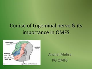 Course of trigeminal nerve & its
importance in OMFS
Anchal Mehra
PG OMFS
 