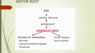 MOTOR ROOT
 