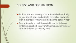 COURSE AND DISTRIBUTION
Both motor and sensory root are attached vertically
to junction of pons and middle cerebellar peduncle
with motor root lying ventromedially to sensory root
Pass anteriorly in middle cranial fossa to lie below
tentorium cerebelli in cavum trigeminale, here motor
root lies inferior to sensory root
 