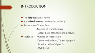 INTRODUCTION
 The largest cranial nerve
 It is mixed nerve ( sensory and motor )
 Sensory to – Skin of face
-Mucosa of cranial viscera
-Except base of tongue and pharynx
 Motor to – Muscles of Mastication
-Tensor veli palatini, Tensor tympani
-Anterior belly of digastric
-Mylohyoid
 