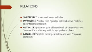RELATIONS
 SUPERIORLY: uncus and temporal lobe
 INFERIORLY: *motor root *greater petrosal nerve *petrous
apex *foramen lacerum
 MEDIALLY: *posterior part of lateral wall of cavernous sinus
*Internal Carotid Artery with its sympathetic plexus
 LATERALLY: *middle meningeal artery and vein *nervous
spinosum
 