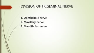 DIVISION OF TRIGEMINAL NERVE
1. Ophthalmic nerve
2. Maxillary nerve
3. Mandibular nerve
 