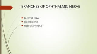 BRANCHES OF OPHTHALMIC NERVE
 Lacrimal nerve
 Frontal nerve
 Nasociliary nerve
 