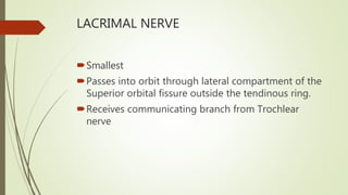 LACRIMAL NERVE
Smallest
Passes into orbit through lateral compartment of the
Superior orbital fissure outside the tendinous ring.
Receives communicating branch from Trochlear
nerve
 