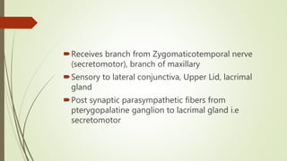 Receives branch from Zygomaticotemporal nerve
(secretomotor), branch of maxillary
Sensory to lateral conjunctiva, Upper Lid, lacrimal
gland
Post synaptic parasympathetic fibers from
pterygopalatine ganglion to lacrimal gland i.e
secretomotor
 