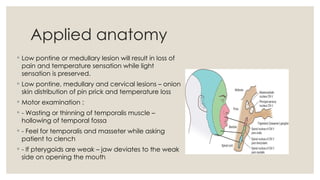 Trigeminal nerve - 1st year class [Autosaved][1].pptx