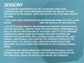 SENSORY
 THE SENSORY COMPONENTS OF THE 3 BRANCHES CARRY PAIN,
TEMPERATURE AND TOUCH INFORMATION FROM THE SKIN OF THE FACE;
MUCOSA OF OF THE SINUSES. NOSE AND MOUTH; THE TEETH AND PORTION
OF DURA.
 THEY ALSO CARRY PROPRIOCEPTIVE INFORMATION FROM THE TEETH, HARD
PALATE, TEMPOMANDIBULAR JOINT AND THE MUSCLES OF MASTICATION.
 THE OPHTHALMIC NERVE IS RESPONSIBLE FOR SENSORY INNERVATION OF
THE FACE AND SKULL, DERIVED FROM THE FRONTONASAL PROMINENCE, AS
WELL AS THE EYE AND PORTIONS OF THE NASAL CAVITY. IT ALSO CONTAINS
SYMPATHETIC NERVE FIBERS RESPONSIBLE FOR PUPIL DILATION AND
SUPPLIES THE CILIARY BODY, IRIS, LACRIMAL GLAND, CONJUNCTIVA, AND
CORNEA. ADDITIONALLY ALSO SUPPLIES THE SUPERIOR PORTION OF THE
NASAL CAVITY, THE FRONTAL SINUS, AND EVEN DEEPER STRUCTURES
INCLUDING THE DURA MATER AND PORTIONS OF THE ANTERIOR CRANIAL
FOSSA.
 THE MAXILLARY NERVE INNERVATES PORTIONS OF THE NASAL CAVITY,
SINUSES, MAXILLARY TEETH, PALATE, AND THE MIDDLE PORTION OF THE
FACE AND SKULL ABOVE THE MOUTH AND BELOW THE FOREHEAD.
 